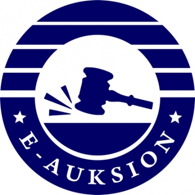 Как покупать здания и доли в компаниях на онлайн-аукционе E-Auksion?