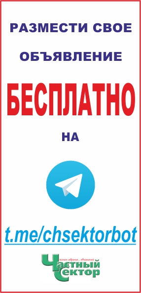 Телеграмм-бот